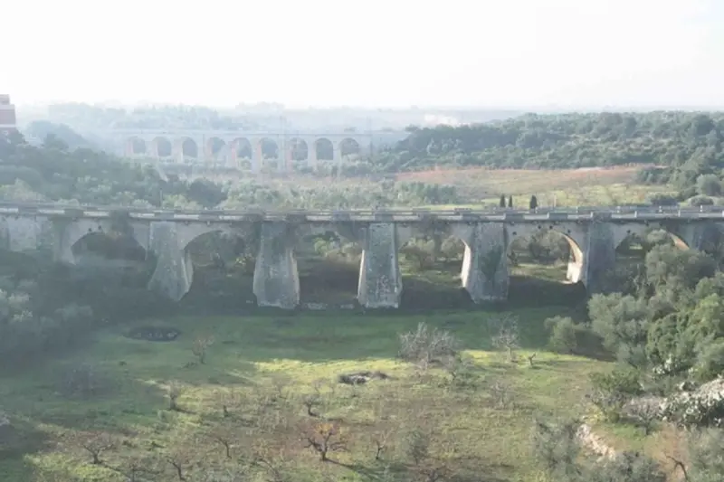 Comune di Bisceglie | Sito istituzionale